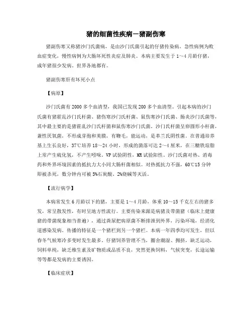 猪的细菌性疾病-猪副伤寒