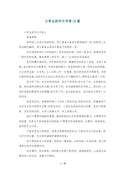 小学生的作文评语15篇