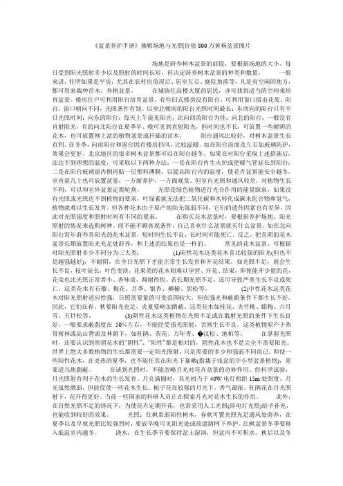 小度写范文《盆景养护手册》摘辑场地与光照-价值800万黄杨盆景图片模板