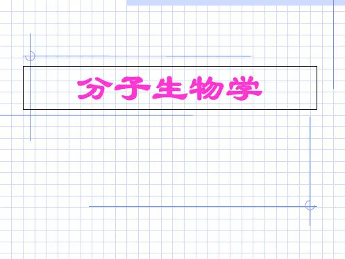 分子生物学导论