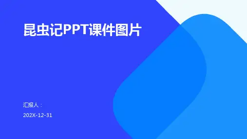 昆虫记ppt课件图片