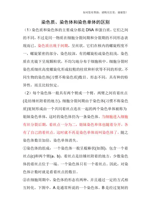 染色质染色体和染色单体的区别