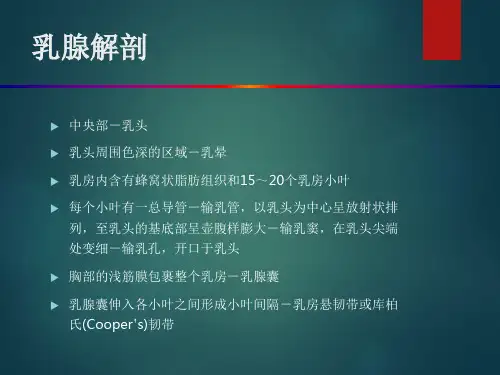 乳腺疾病超声诊断及BIRADS分级讲解学习