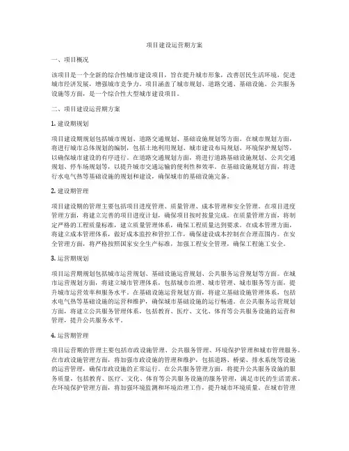 项目建设运营期方案