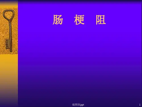 肠梗阻教学PPT课件