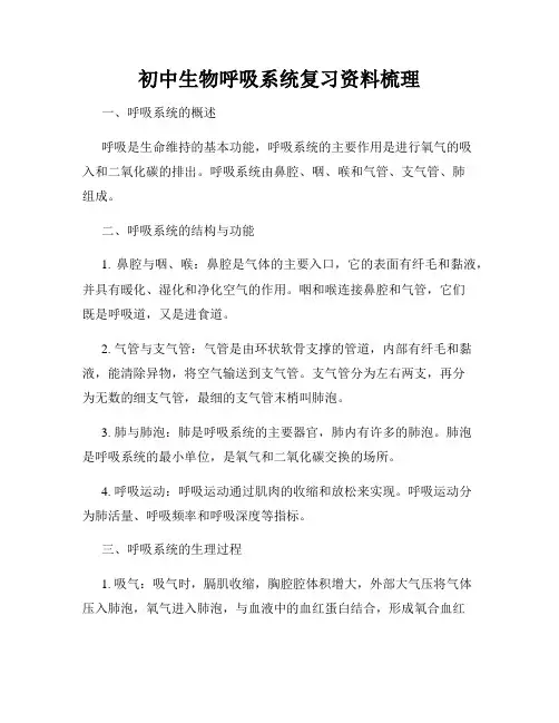 初中生物呼吸系统复习资料梳理