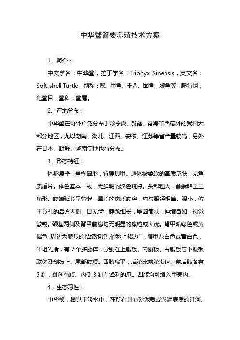中华鳖养殖技术方案