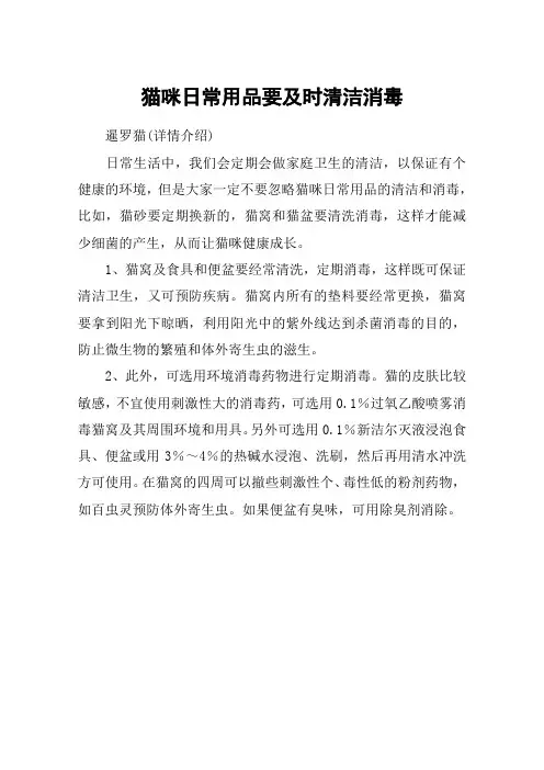 猫咪日常用品要及时清洁消毒