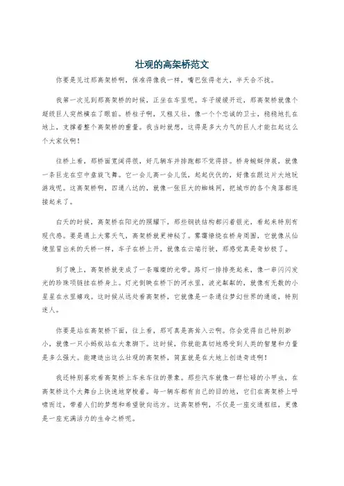 壮观的高架桥范文