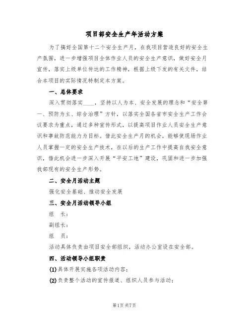 项目部安全生产年活动方案（二篇）
