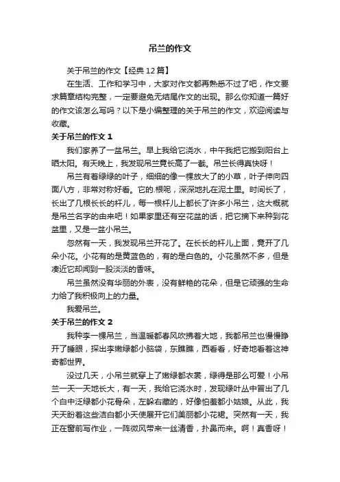 关于吊兰的作文【经典12篇】