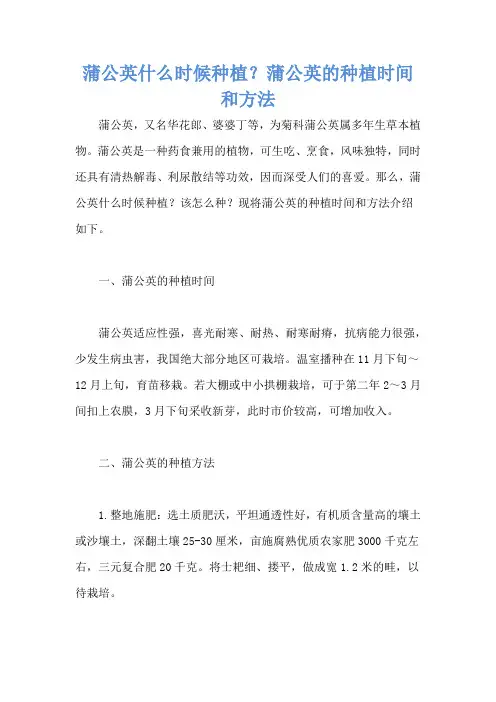 蒲公英什么时候种植？蒲公英的种植时间和方法