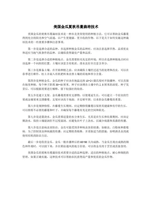 美国金瓜夏秋吊蔓栽培技术