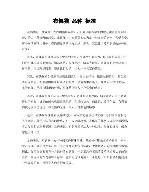 布偶猫 品种 标准