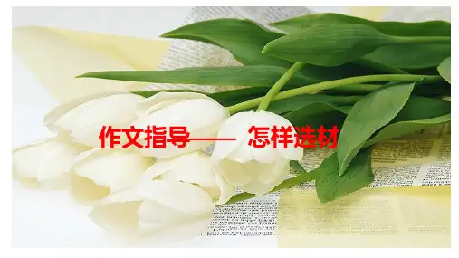 初中作文指导：作文如何选材