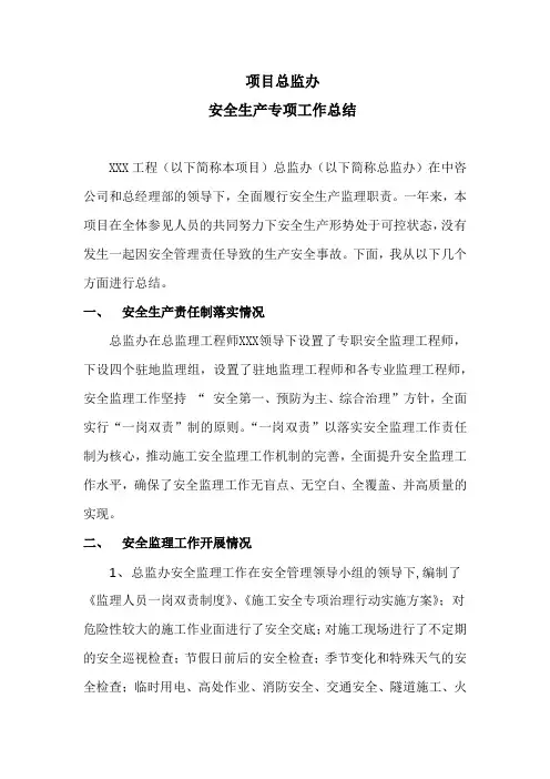 2018年总监办安全生产专项工作总结