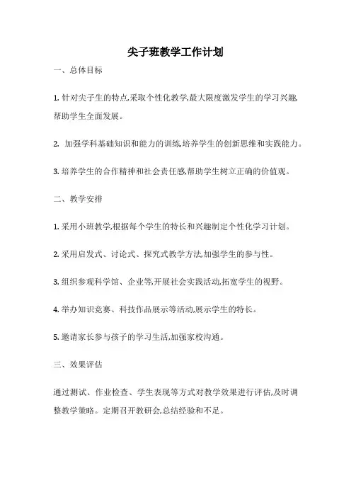 尖子班教学工作计划