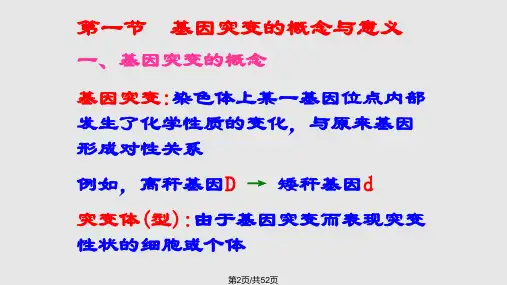 遗传学6基因突变.pptx