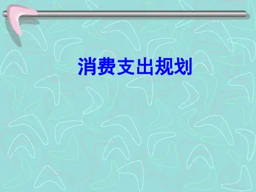 消费支出规划