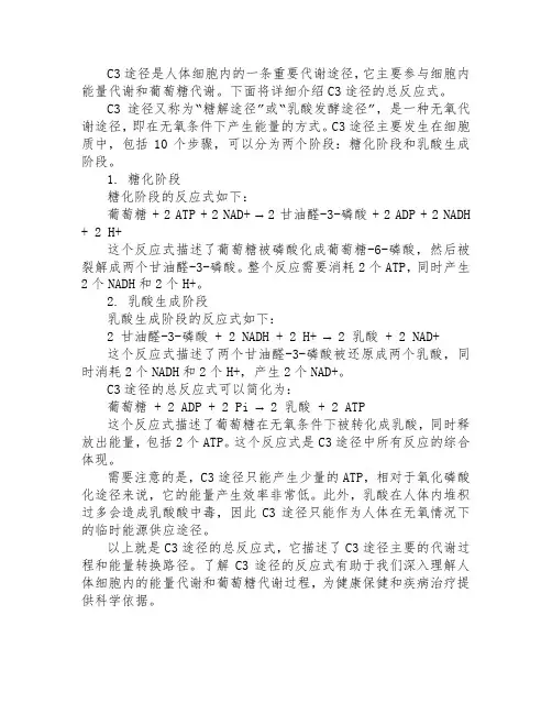 c3途径的总反应式