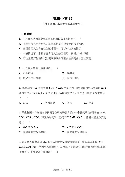 周测小卷12(考查范围：基因突变和基因重组)