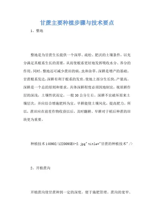 甘蔗主要种植步骤与技术要点