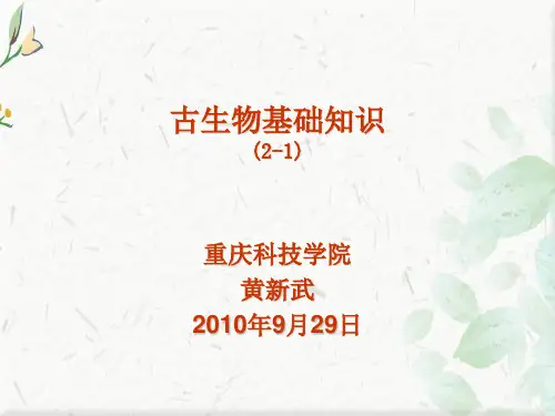 关于古生物的ppt
