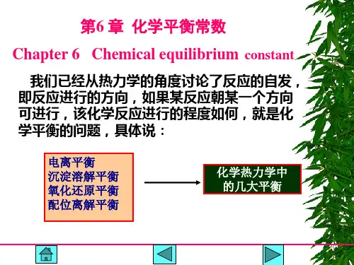 第6章化学平衡常数