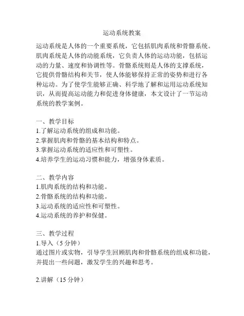 运动系统教案