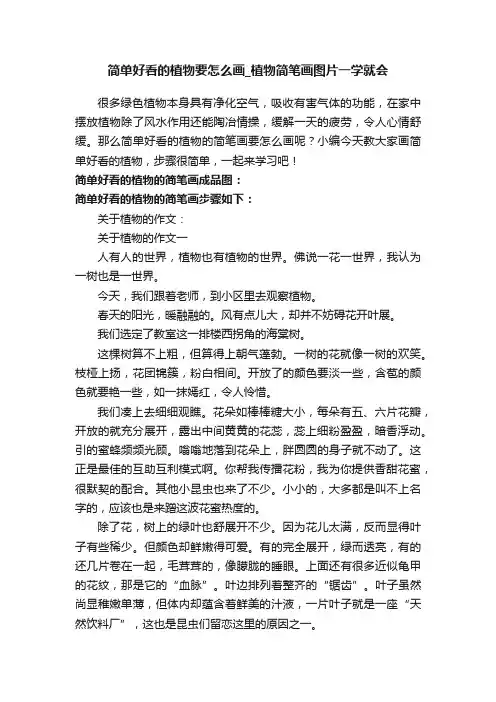 简单好看的植物要怎么画_植物简笔画图片一学就会
