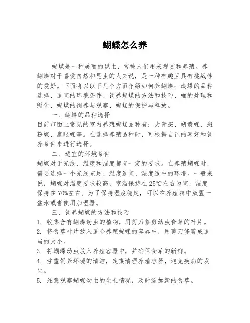 蝴蝶怎么养