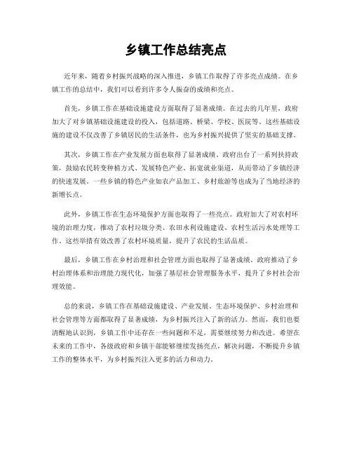 乡镇工作总结亮点