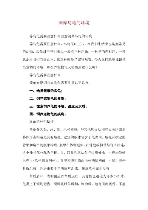 饲养乌龟的环境