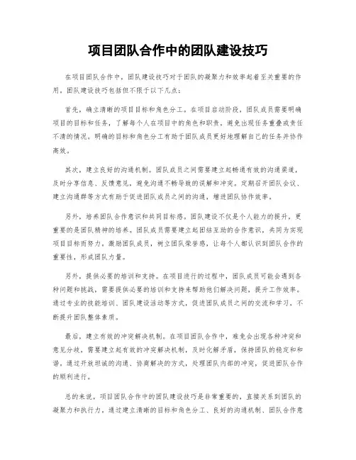 项目团队合作中的团队建设技巧