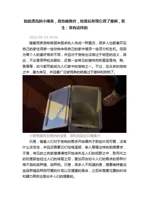 如此漂亮的小博美，竟也被抛弃，检查后发现它得了重病，医生：常有这样的