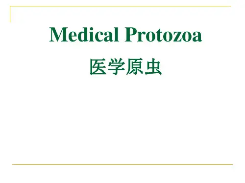 【北京大学-医学寄生虫】_医学原虫