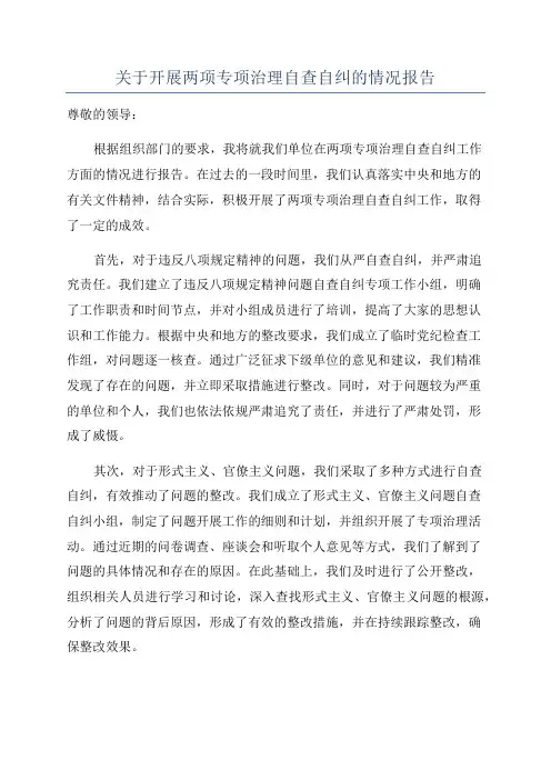 关于开展两项专项治理自查自纠的情况报告