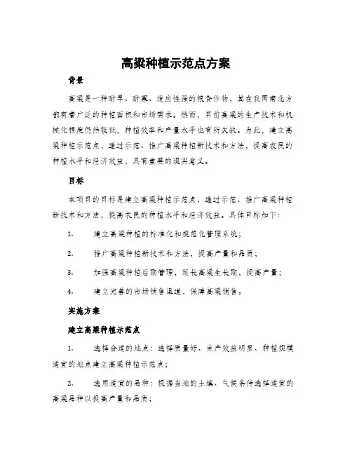 高粱种植示范点方案