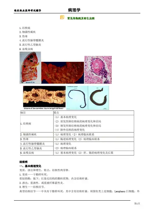 临床执业医师考试辅导材料：《病理学》常见传染病及寄生虫病