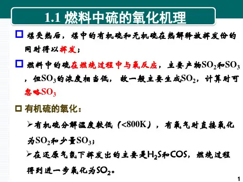 燃烧过程硫氧化物及颗粒物的形成与控制