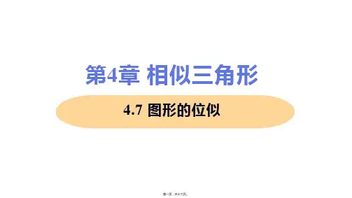 新浙教版九年级上册初中数学 4-7 图形的位似 教学课件