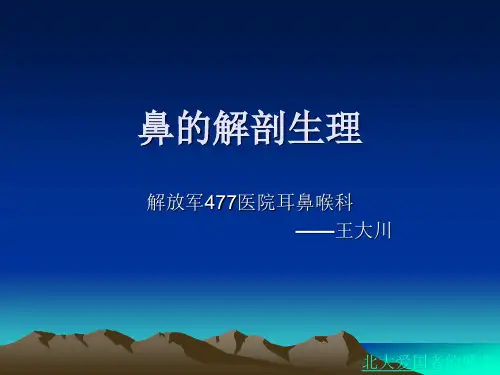 鼻部解剖生理