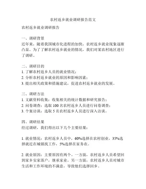农村返乡就业调研报告范文