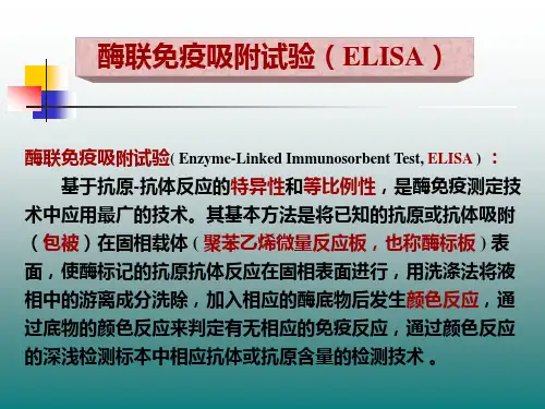 elisa检测技术 ppt课件