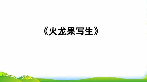 少儿火龙果写生(创意课)—美术课件
