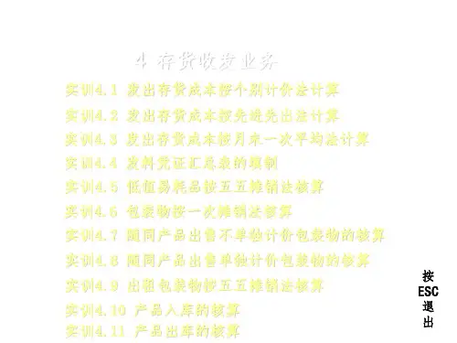 《财务会计实训》PPT课件