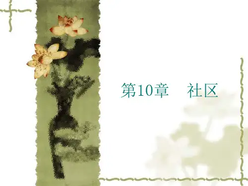 社会学概论(厦门大学)第10章 社区PPT课件