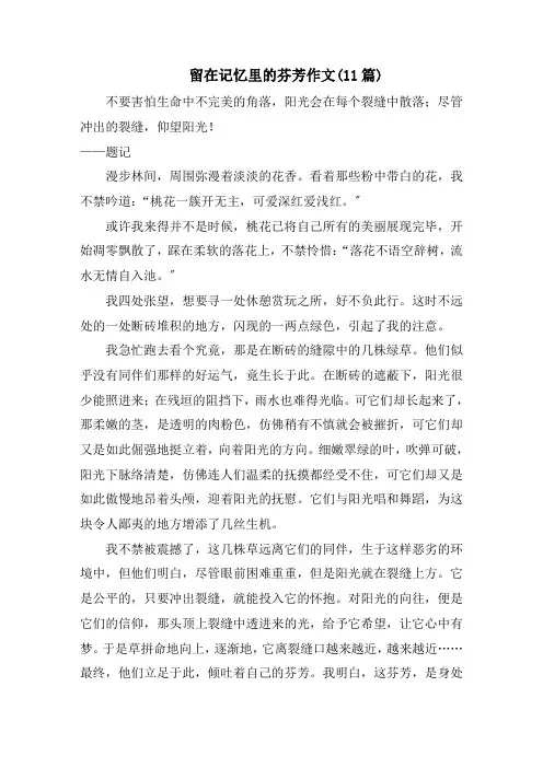 留在记忆里的芬芳作文(11篇)范文