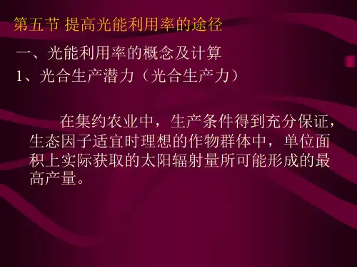 第五节 提高光能利用效率的途径