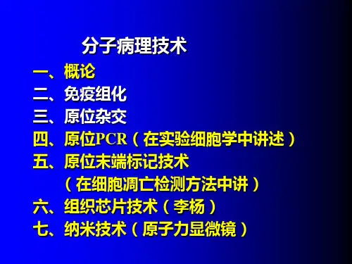 分子病理技术